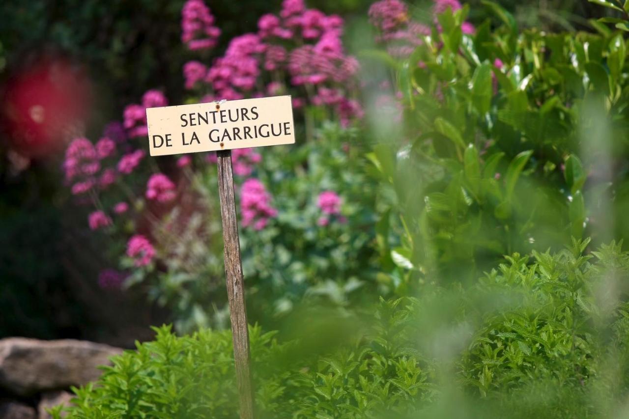 Maison De Village La Clemaline Figanières Exteriér fotografie